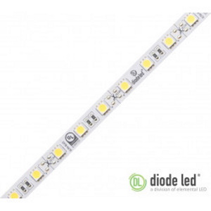 diode led® DI-12V-BLBSC1-30-016